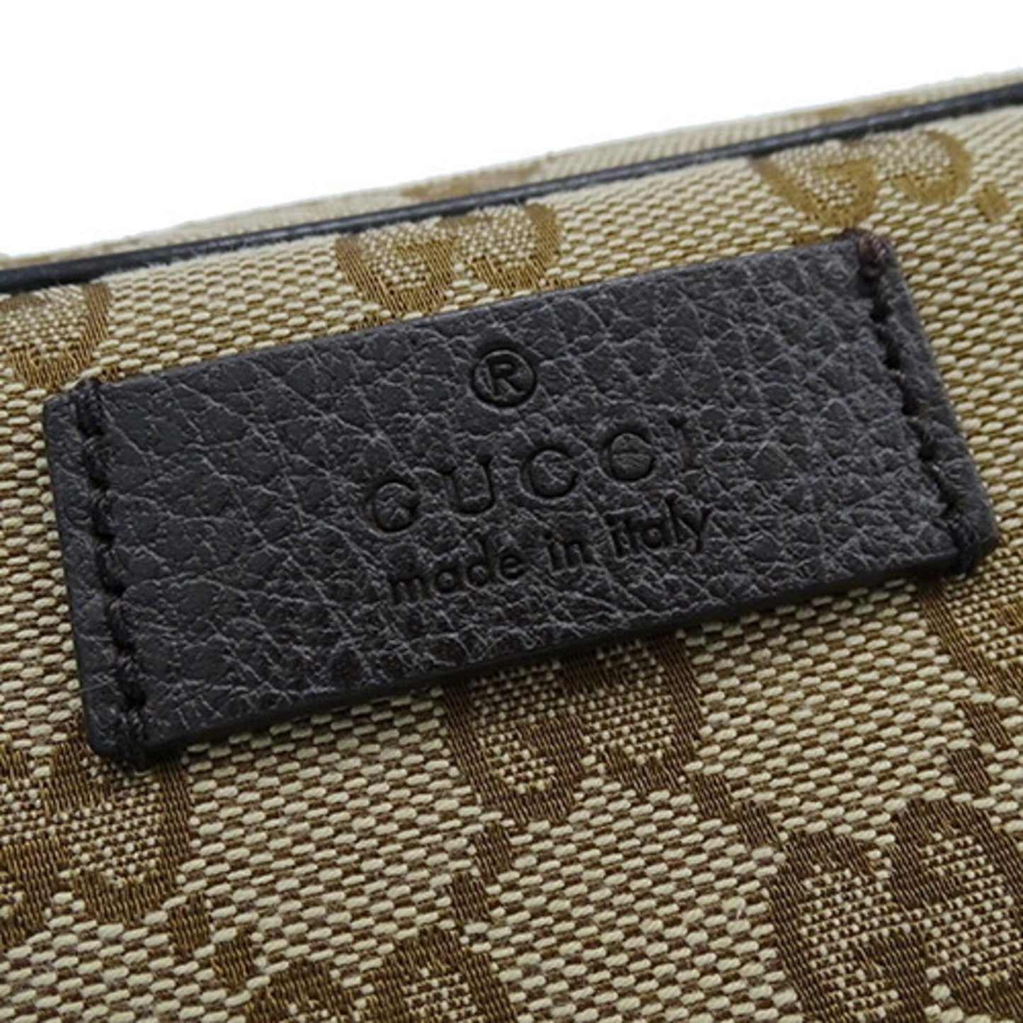 Gucci GG canvas