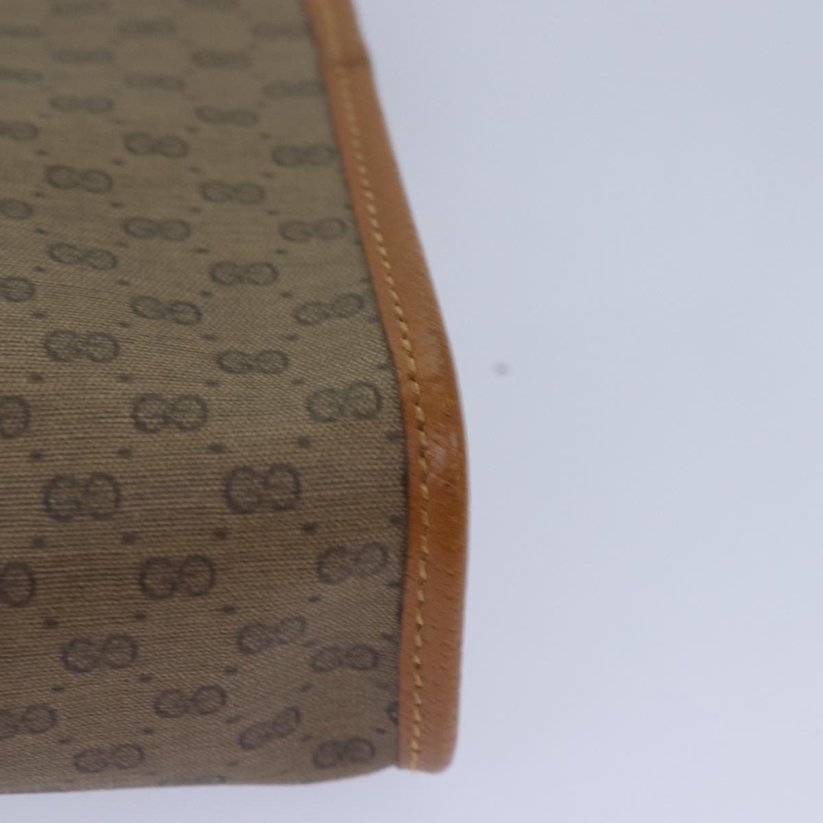 Gucci GG canvas