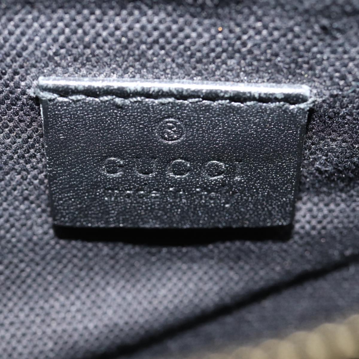 Gucci GG canvas