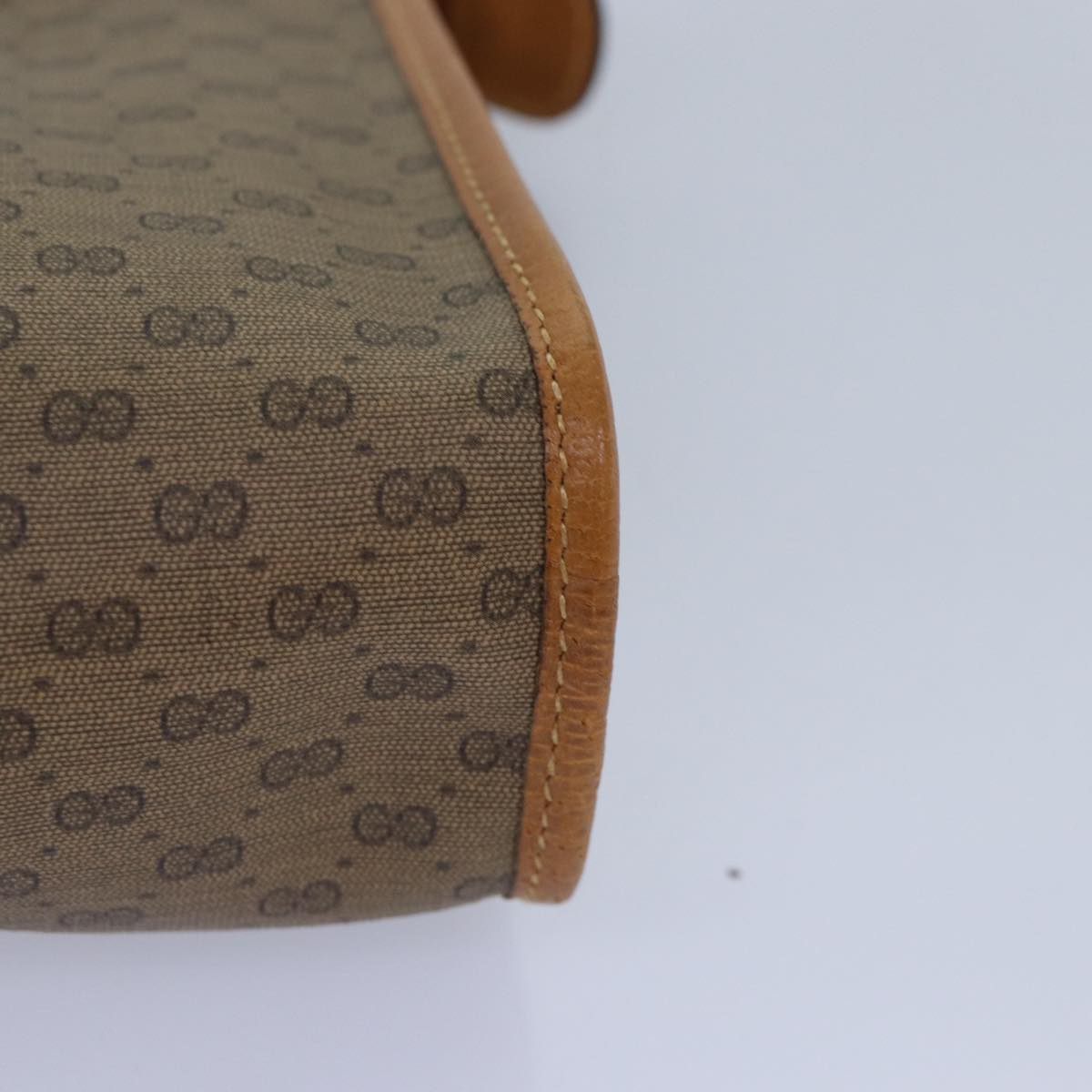 Gucci GG canvas