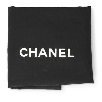 Chanel 19 Flap Bag - Small