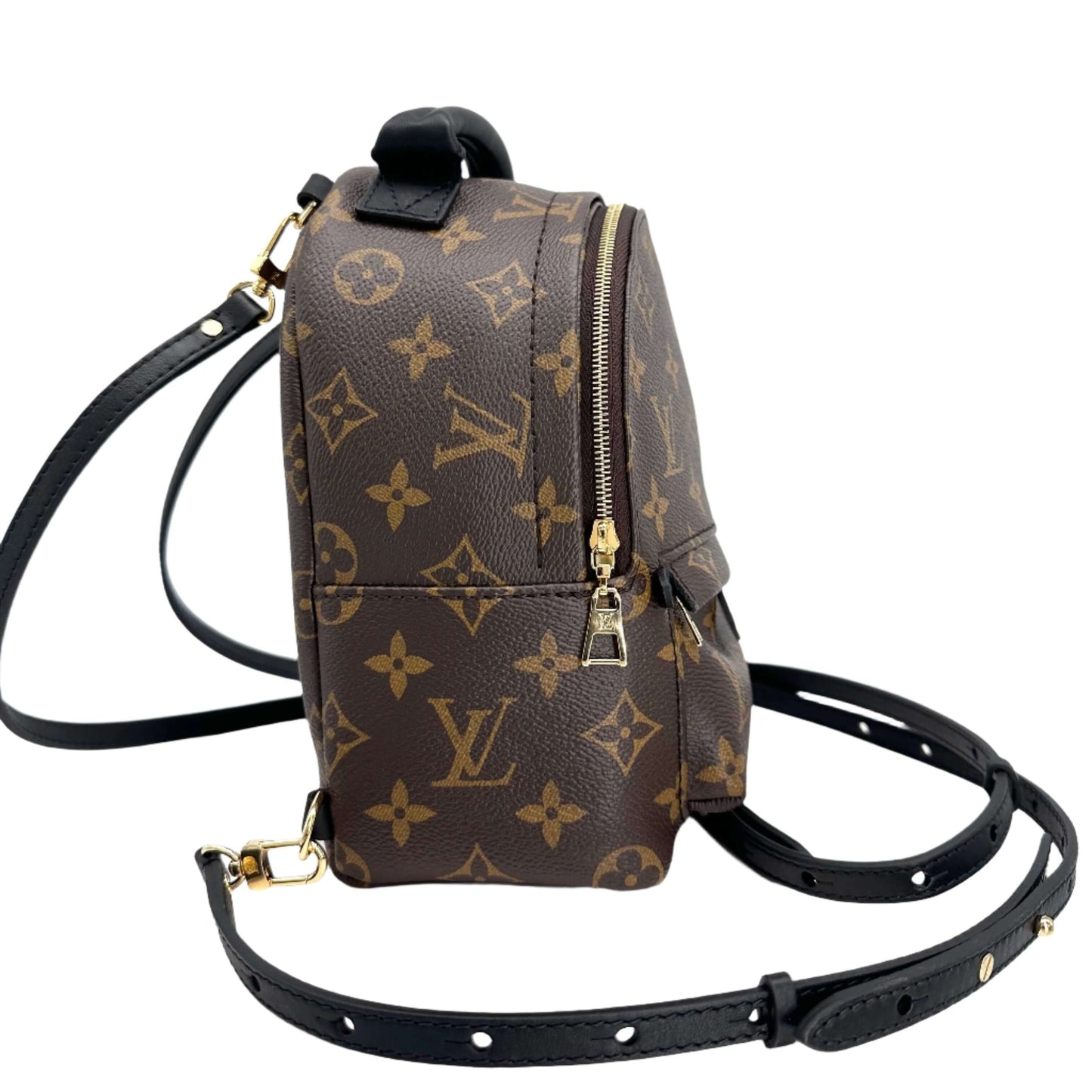 LOUIS VUITTON Monogram Palm Springs Backpack Mini