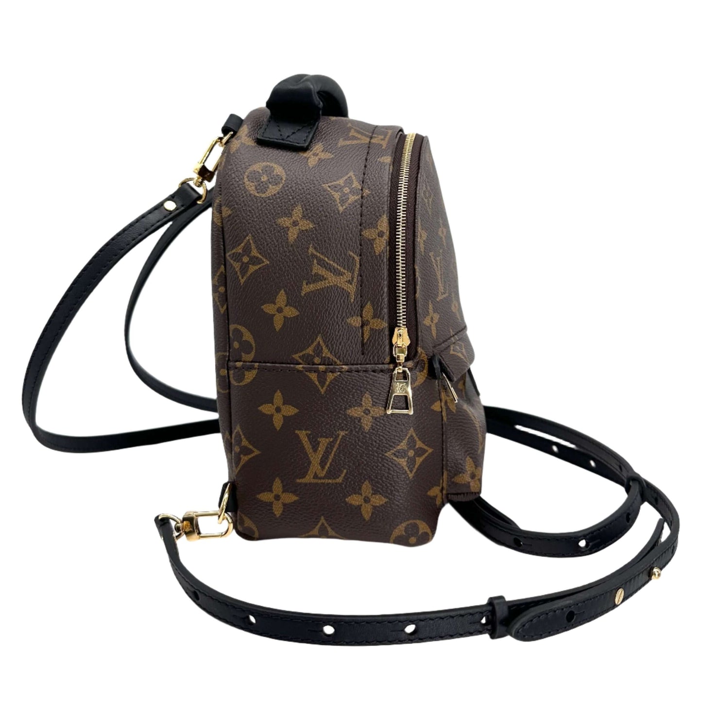 LOUIS VUITTON Monogram Palm Springs Backpack Mini