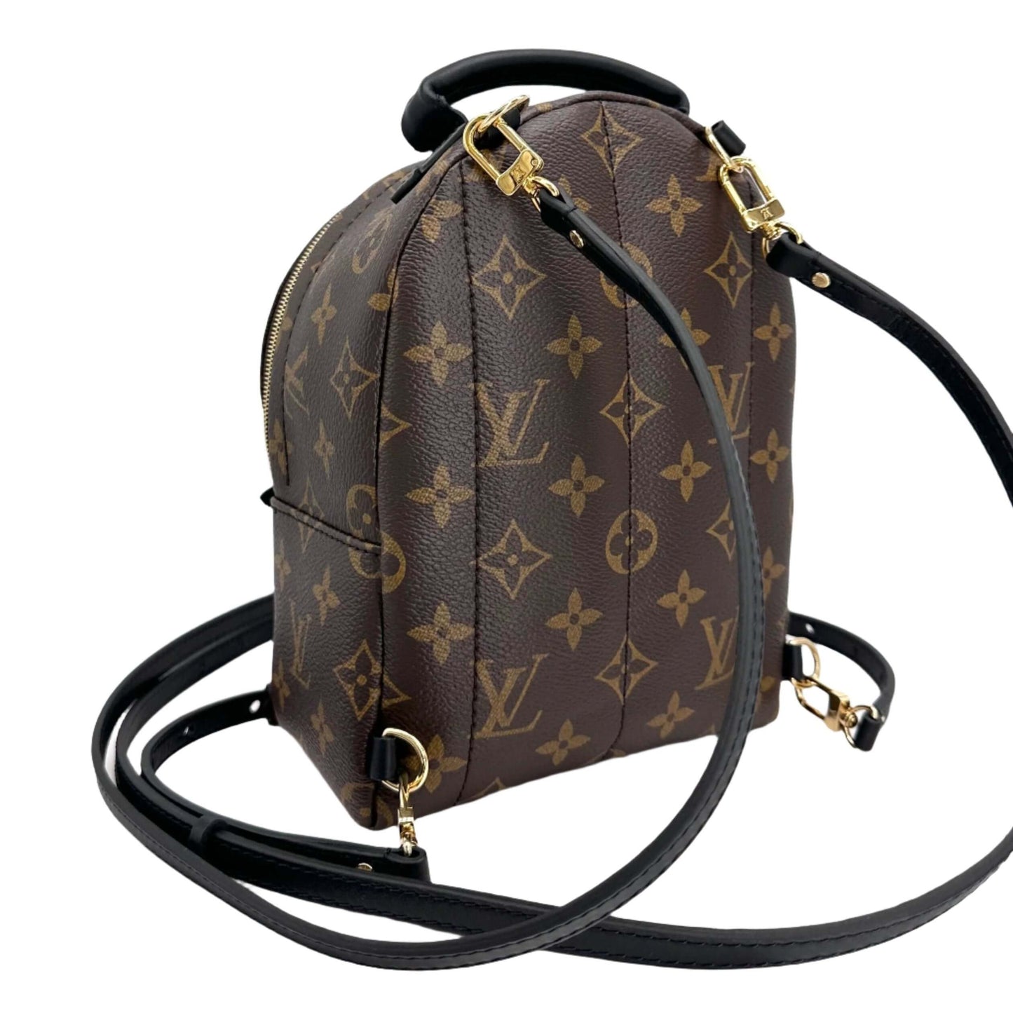 LOUIS VUITTON Monogram Palm Springs Backpack Mini