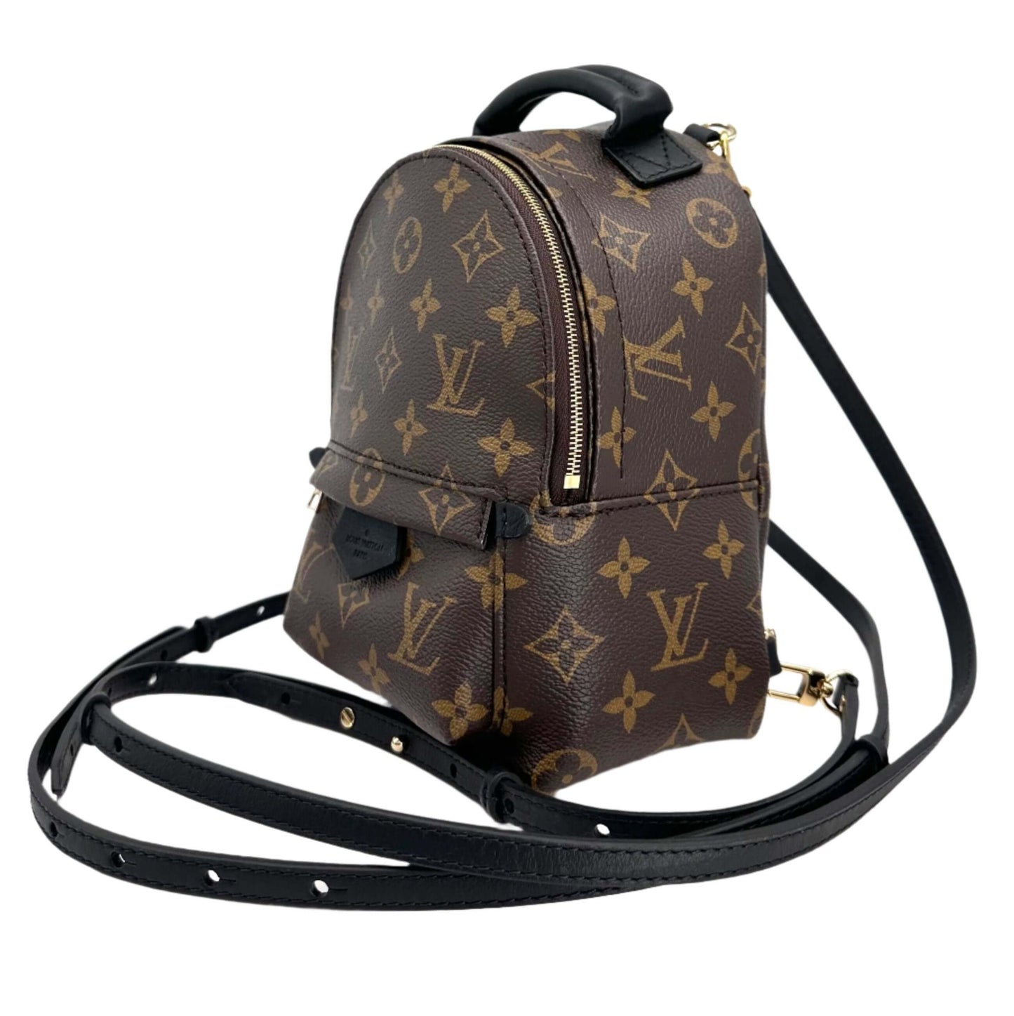 LOUIS VUITTON Monogram Palm Springs Backpack Mini